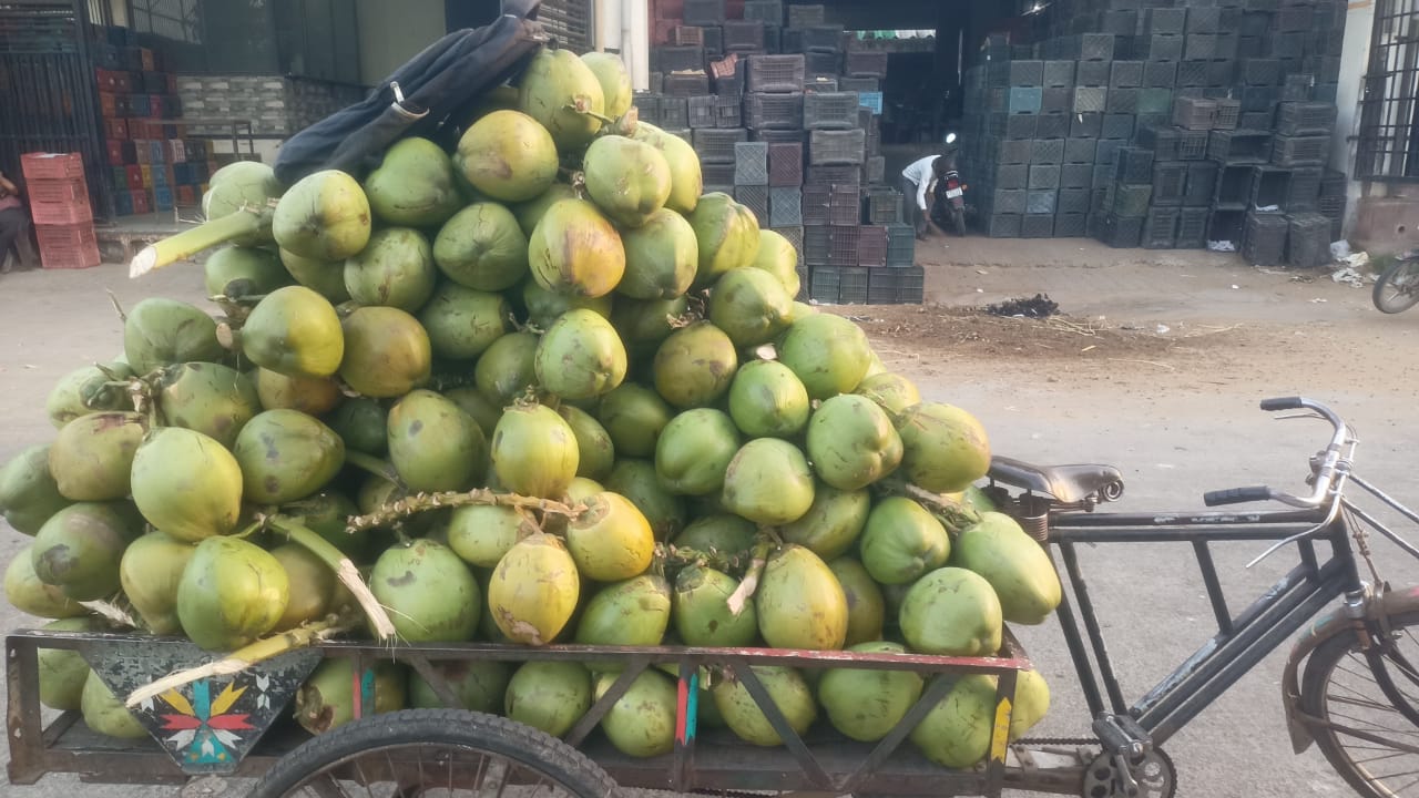 Green Tender Coconut